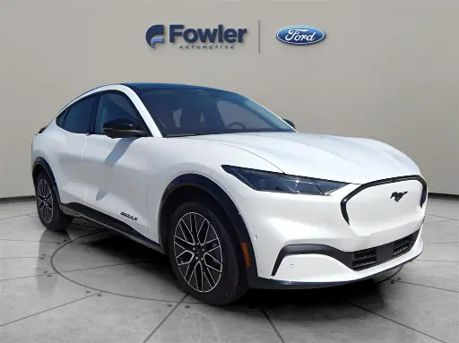 Top 10 Affordable EVs Worldwide That Save You Big 5 Ford Mustang Mach - E